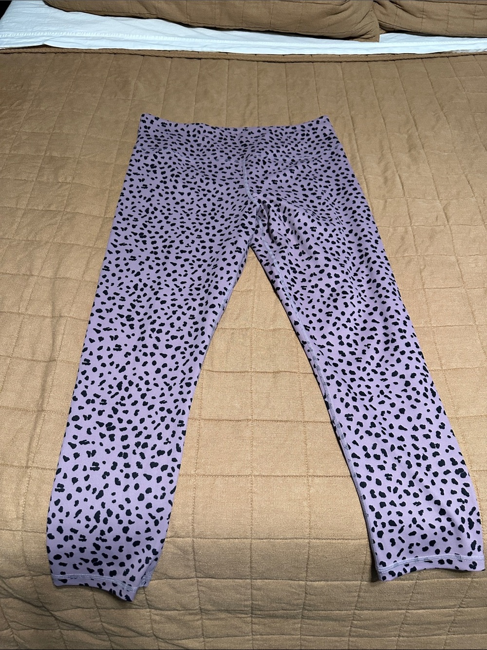 ZYIA Active Leggings